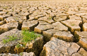 Climate change causes drought